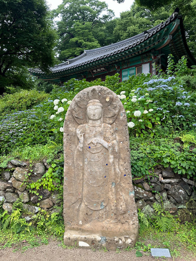 역사가 깊은 오래된 사찰에서 머무르는 🌞 여름철 시원한 산공기를 마실 수 있는 템플스테이