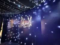 Little Prince Exhibition ✨