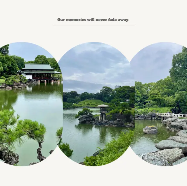 「百合之原公園」繽紛花海，心曠神怡