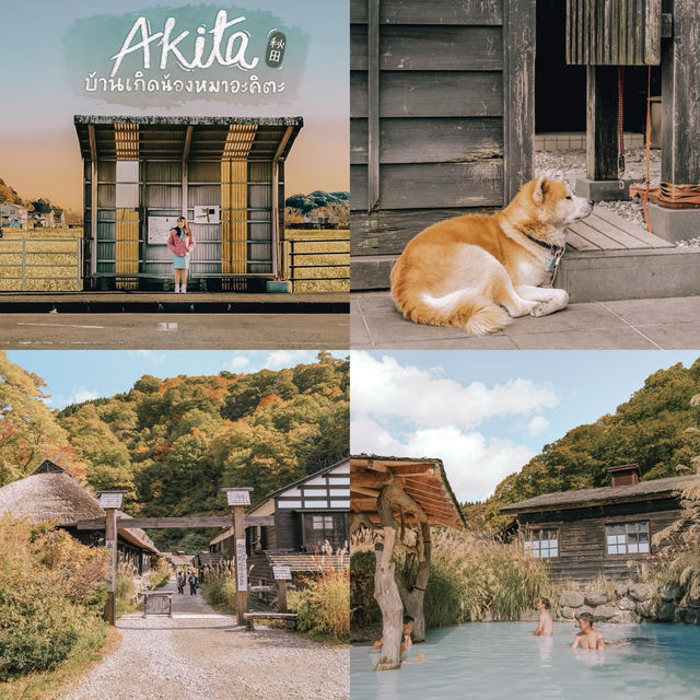 รวม 6 จังหวัดแห่งภูมิภาค Tohoku ( 東北) 