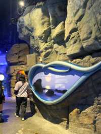 ท่องโลกใต้ทะเลที่ The Grand Aquarium Hong Kong 🐡