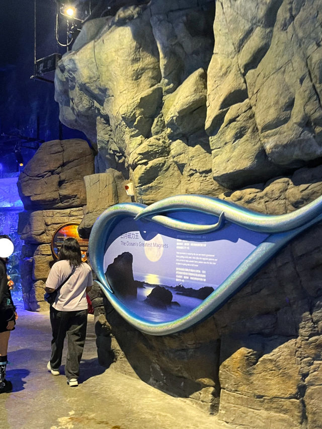 ท่องโลกใต้ทะเลที่ The Grand Aquarium Hong Kong 🐡
