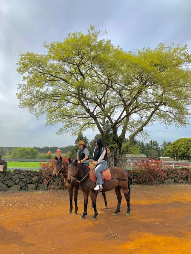 제주도 아이랑 가볼만한곳 🐎