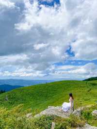 【和歌山】生石高原で360度の絶景を楽しもう🌿✨