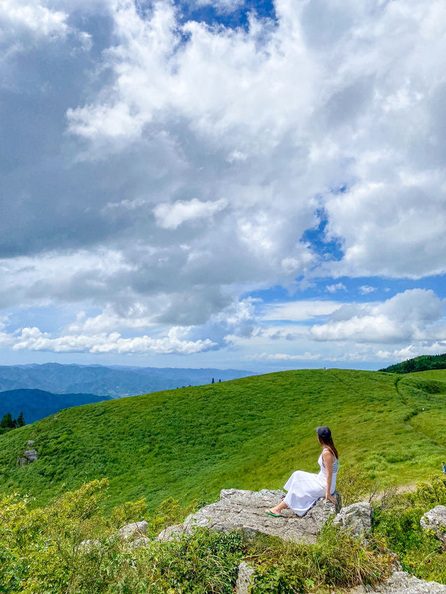 【和歌山】生石高原で360度の絶景を楽しもう🌿✨