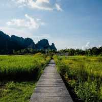 เนินมะปราง