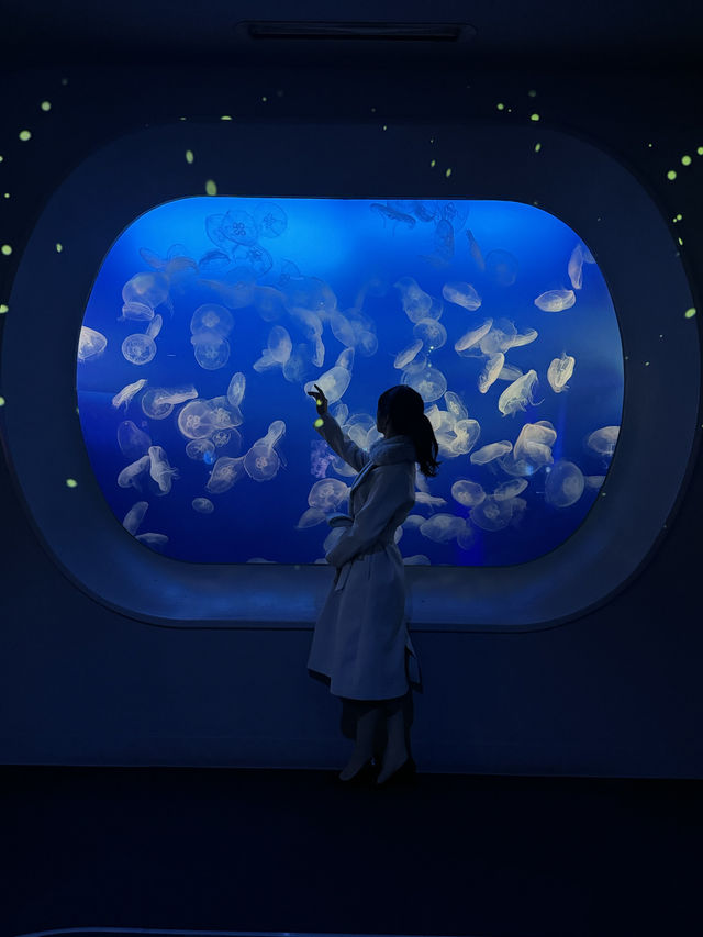 〜神奈川県〜幻想的的！江ノ島水族館！