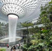 Tropical Oasis at Changi