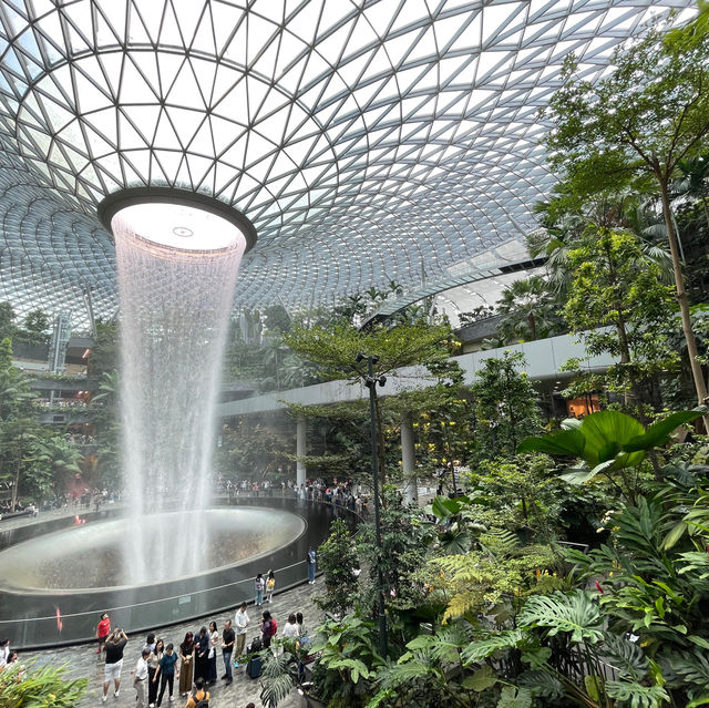 Tropical Oasis at Changi