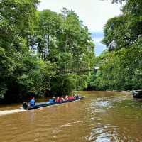 Into the Heart of Borneo: Conquering the RM100 Challenge