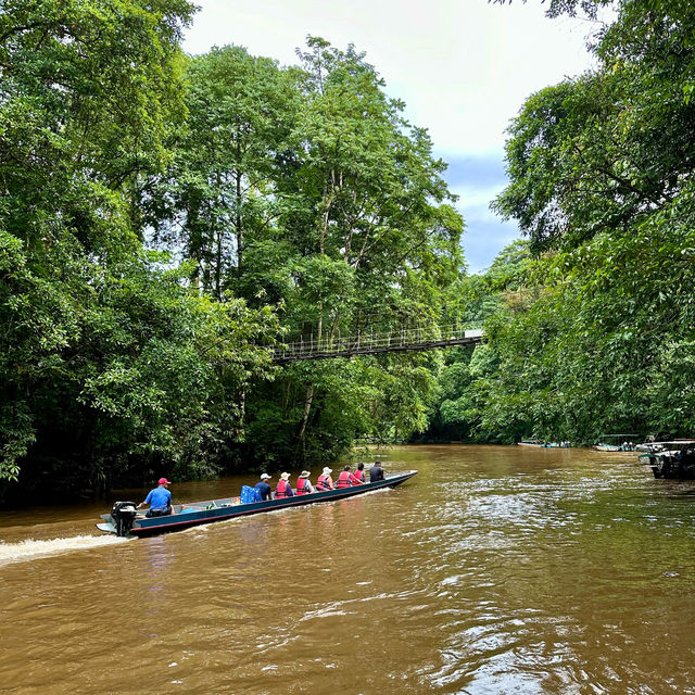 Into the Heart of Borneo: Conquering the RM100 Challenge