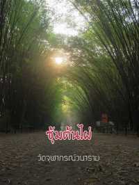 ซุ้มต้นไผ่@นครนายก