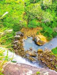 【沖縄 西表島】世界遺産のジャングル🌴ピナイサーラの滝を1日満喫🐾‪𓏸𓈒