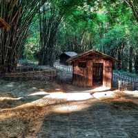 น้ำตกแห่งประวัติศาสตร์ 