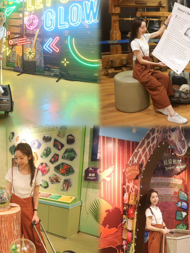 香港挪亞方舟終於變身成pet-friendly🐕嘅旅遊點啦yeah!