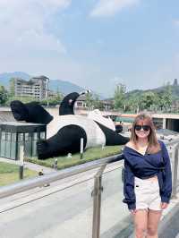 A must in Chengdu!  Chengdu main’s attractions! 🐼 Giant Panda Base 