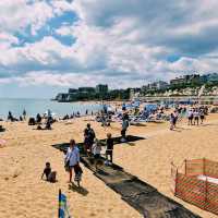 Treasures of the Tide: Viking Bay Beach
