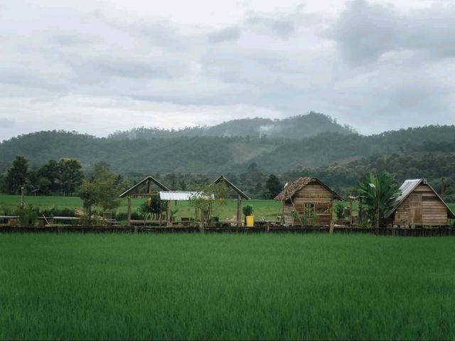 เมืองคอง จ.เชียงใหม่