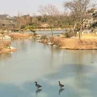 虎跑公園～中式園林之美