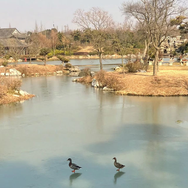 虎跑公園～中式園林之美