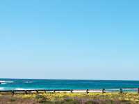 Postcards from 17 Mile Drive, California