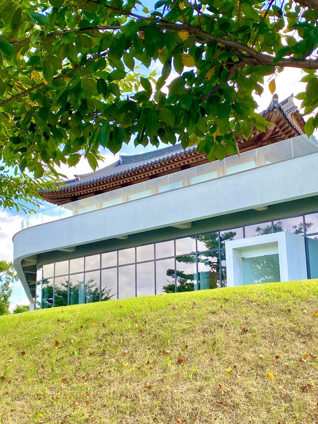 경주 보문단지 뷰 카페❤️엘로우