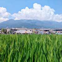 Postcard scenery