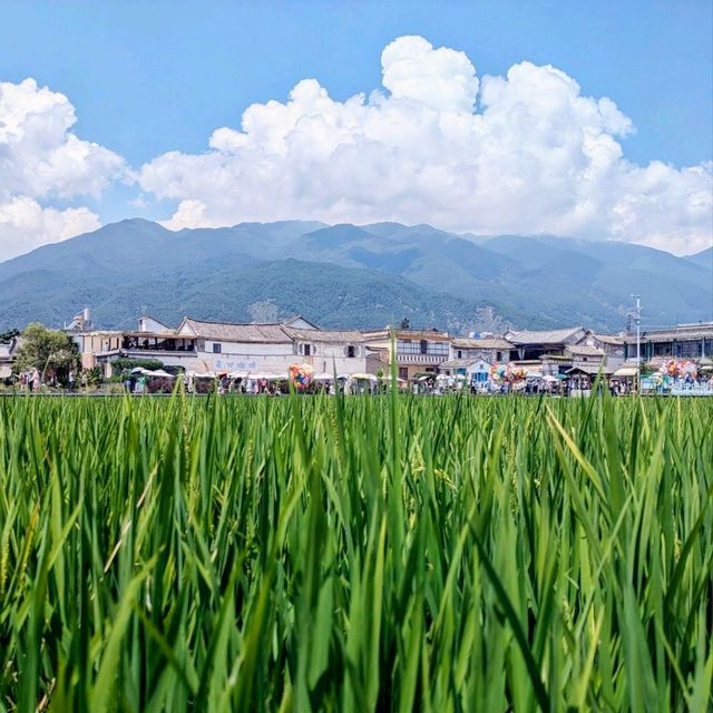 Postcard scenery