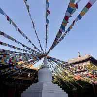 Falling in love with Yunnan ❤️