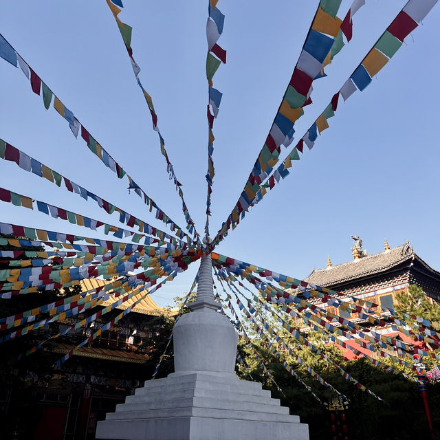 Falling in love with Yunnan ❤️