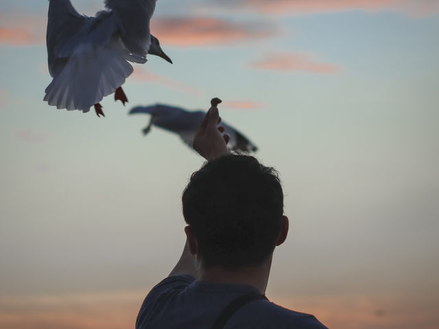 รีวิว สถานตากอากาศบางปู ( ดูนกนางนวล ) 🕊️