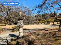 日本東京-東京庶民的後花園：新宿御苑