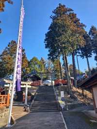 【王地山 まけきらい稲荷:兵庫県丹波篠山市】鳥居が素晴らしい美しい神社⛩️
