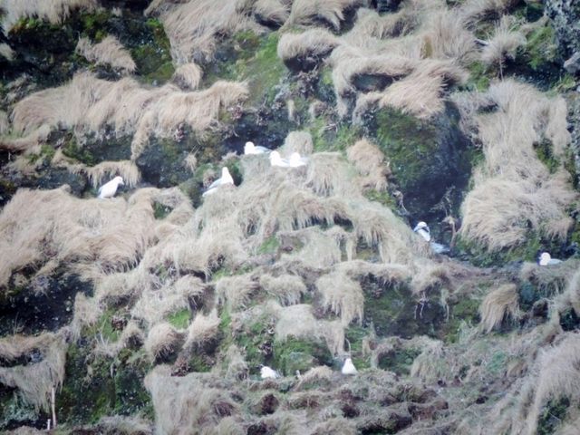 【冰島】玄武岩洞穴：獨特地質視角，絕對值得一去！