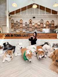 泰國曼谷咖啡店｜喜歡狗狗的不要錯過🐶
