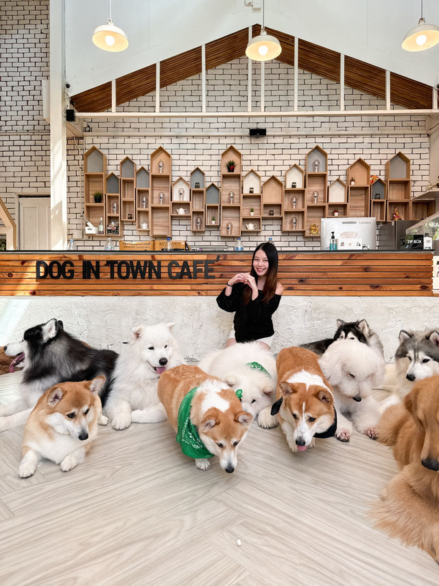泰國曼谷咖啡店｜喜歡狗狗的不要錯過🐶