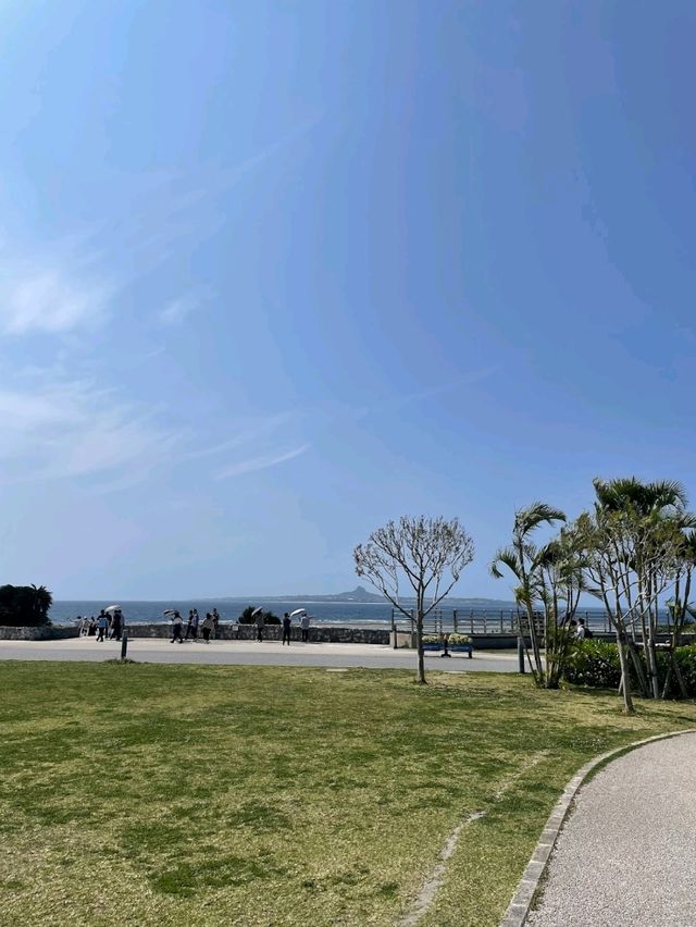 🛖일본 오키나와, 추라우미 수족관