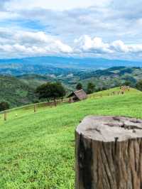 Cafe สุดฮิต Akha Farmville ไปกอดน้องแกะกัน!!