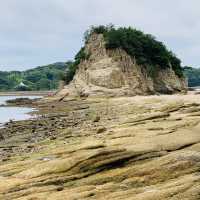 【小豆島】天使の散歩道！