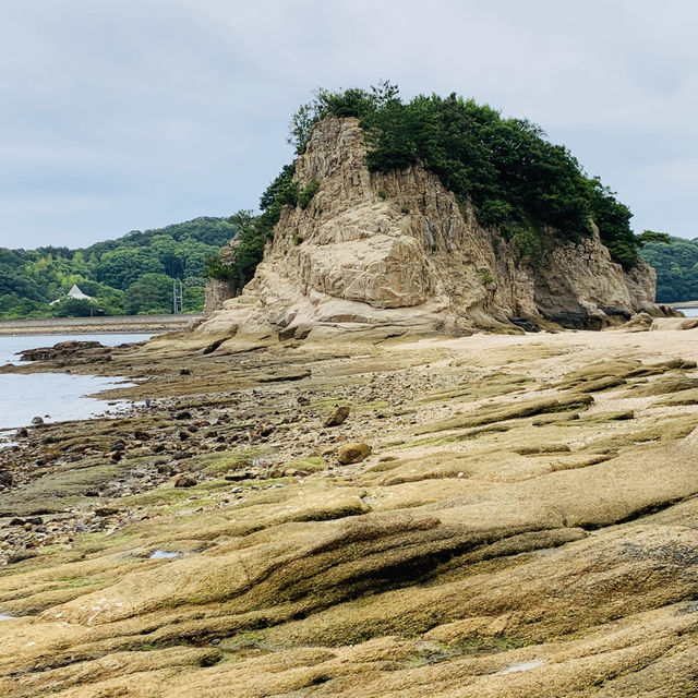 【小豆島】天使の散歩道！