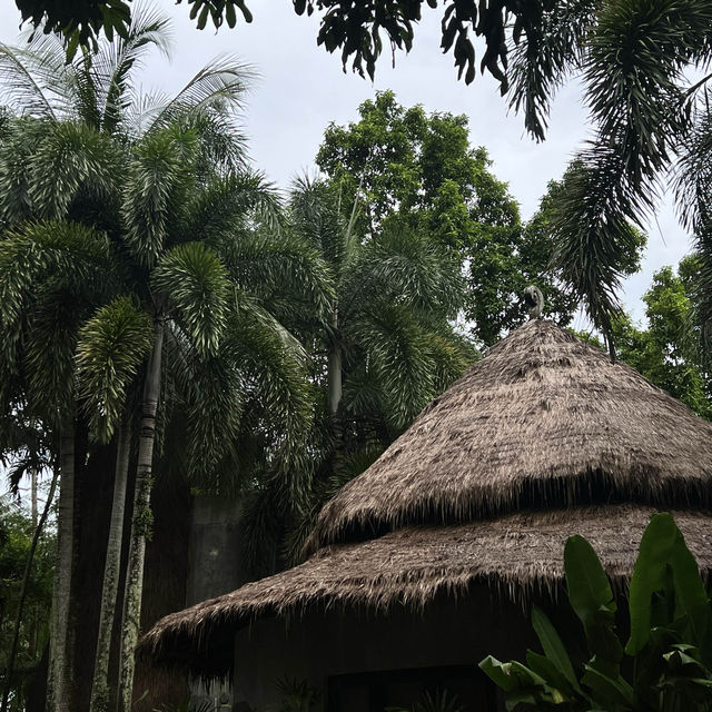 THE DEWA KOH CHANG 🛖🌴