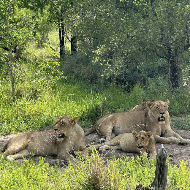 Luxury in the African Wilderness