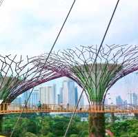 🇸🇬 Gardens by the Bay: A Symphony of Green in the City