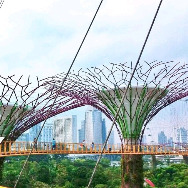 🇸🇬 Gardens by the Bay: A Symphony of Green in the City