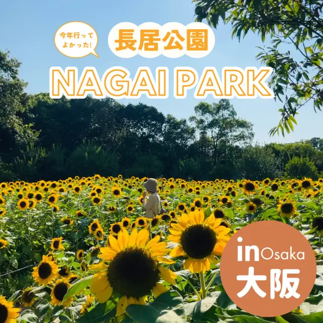 [大阪]城市中的綠洲！享受大自然的推薦景點