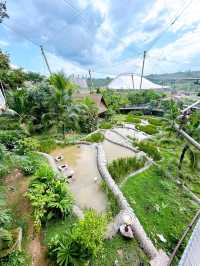 Bird Paradise Singapore Waterfalls