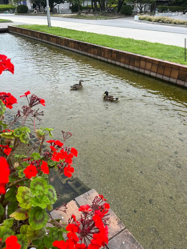 【福岡】福岡市の真ん中にある大型公園⛲️
