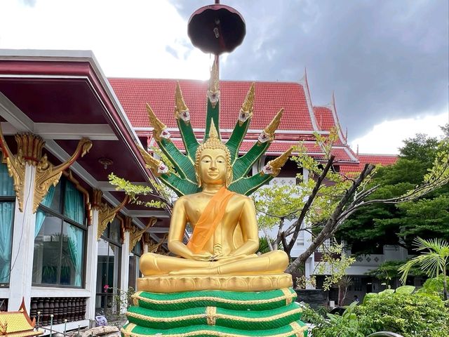 พามาขอพร ทำบุญ วัดนาคปรก
