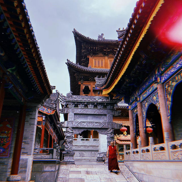 🌿靜心修行的理想之地🧘‍♂️金台寺