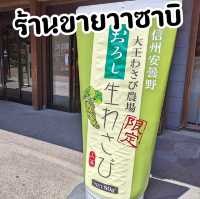 ร้านขายวาซาบิ Daio Wasabi Farm จ.นากาโนะ